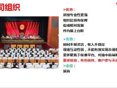 梅花五势重新定位小说会67页.pptx