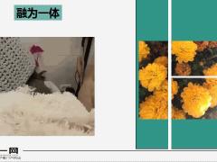每日快乐早会19年8月28日使用12页.ppt