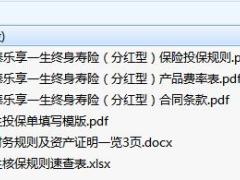 瑞泰乐享一生终身寿险分红型合同条款费率核保速查表.rar