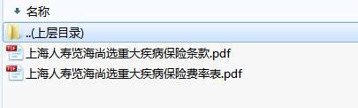 上海人寿览海尚选重大疾病保险条款费率.zip