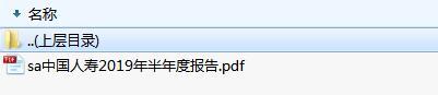 中国人寿2019年半年度报告.zip