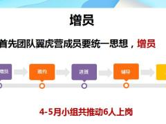 分享建立标准组织模型增员晋升成果发展感悟29页.pptx