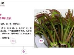 每日健康一种野菜治一种病常吃减肉19页.ppt