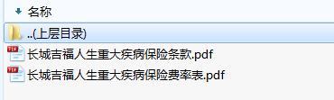 长城吉福人生重大疾病保险条款费率.zip