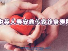 中英人寿安鑫传家终身寿险产品背景特色形态定位示例26页.pptx
