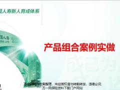 产品组合常用四种类型案例实做案例实做含备注17页.pptx