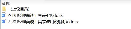 组织发展全预算2组经理面谈工具表使用说明国寿版.rar