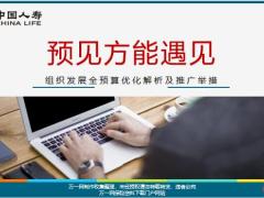 国寿组织发展全预算优化解析及推广举措17页.pptx