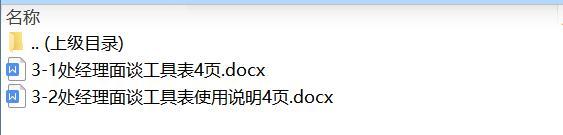 组织发展全预算3处经理面谈工具表使用说明国寿版.rar