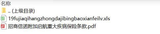 招商信诺附加启航重大疾病保险条款费率.rar