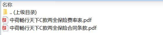 中荷畅行天下C款两全保险合同条款费率.zip