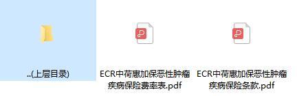 中荷惠加保恶性肿瘤疾病保险条款费率.rar