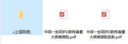 中荷一生呵护D款终身重大疾病保险条款费率.rar