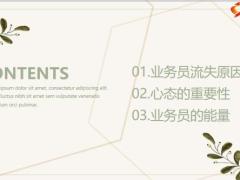 业务员流失原因重要性能量14页.pptx