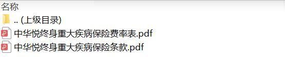 中华悦终身重大疾病保险条款费率.zip
