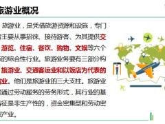 团险行业开拓之旅游业概况因素需求分析22页.pptx