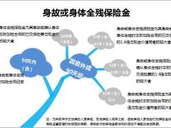 幸福附加两全保险产品解析13页.pptx