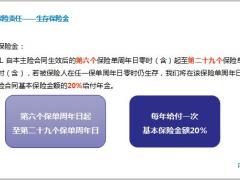 幸福人寿鑫悦一生B款终身年金保险分红型产品基础知识31页.pptx
