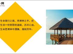 每日鸡汤励志人生让未来的你感谢今天的你所付出的努力.zip