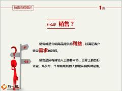 银行保险销售流程概述13页.pptx