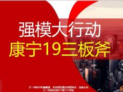 国寿强模大行动康宁19三板斧12页.pptx