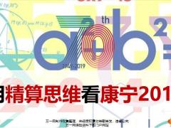 国寿用精算思维看2019康宁17页.pptx
