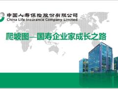 国寿基本法爬坡图国寿企业家成长之路17页.pptx