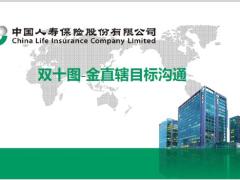 国寿双十图金直辖目标沟通11页.pptx