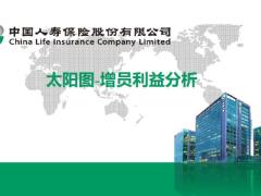 国寿太阳图增员利益分析11页.pptx