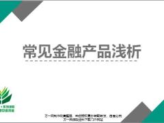 金融产品定义分类浅析总结42页.pptx