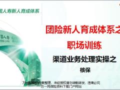 国寿团险渠道业务处理实操之核保35页.pptx
