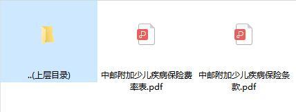 中邮附加少儿疾病保险条款费率.zip