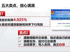 太平盛世稳赢销售数据五大卖点抓机遇25页.pptx