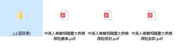 中英人寿爱相随重大疾病保险条款费率投保规则.rar