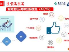 泰康基本法收入无限之主管高主篇主管部分第7天13页.pptx