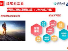 泰康基本法收入无限之主管高主篇主管部分第9天13页.pptx