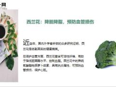 每日健康血管最怕过冬一道家常菜净血液软血管7页.ppt