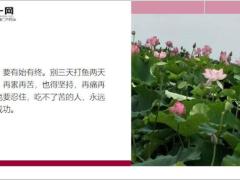 每日鸡汤励志人生你只管负责精彩上帝自有安排.zip