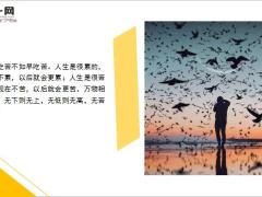 每日鸡汤梦想不会发光发光的是追梦的你自己.zip