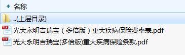 光大永明吉瑞宝多倍版重大疾病保险条款费率.zip