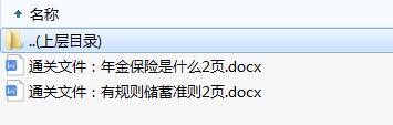 年金保险是什么有规则储蓄准则通关资料.rar