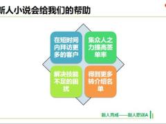 2019版职训A优化11新人小说会概述运作训练22页.pptx