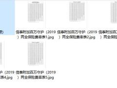 信泰附加百万守护2019两全保险费率表.zip