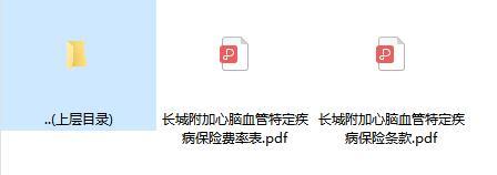 长城附加心脑血管特定疾病保险条款费率.zip