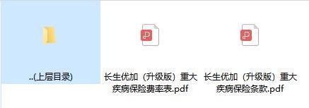 长生优加升级版重大疾病保险条款费率.zip
