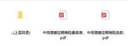 中荷简爱定期寿险条款费率.zip