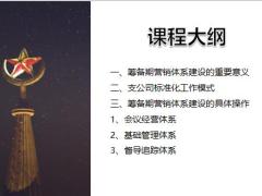 2019年首期拓星新筹筹建期营销体系建设33页.pptx