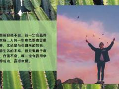 每日鸡汤只要努力抬起你的双脚胜利终将属于你.zip