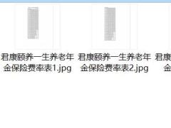 君康颐养一生养老年金保险条款费率.zip