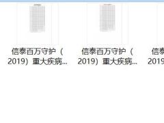 信泰百万守护2019重大疾病保险条款费率.zip